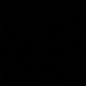 Meet your Posher, Mina